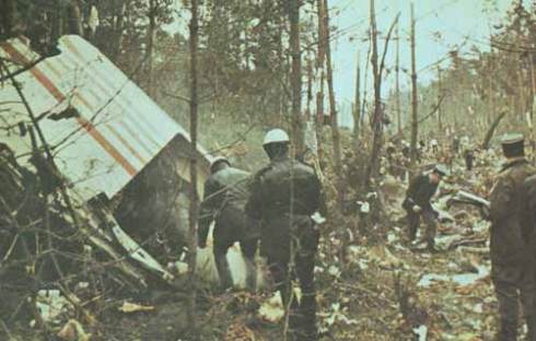 View of Ermenonville forest crash site 1974